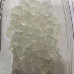 鉢植えアロエベラの画像