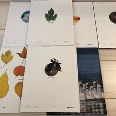 しぜん(キンダーブック)9冊セットの画像