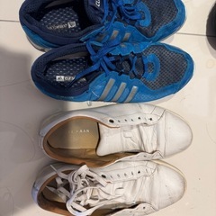 Cole Haanとadidasのスニーカー