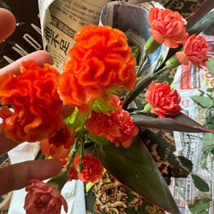 お花もらっていただけませんかの画像