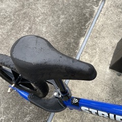 STRIDERの画像