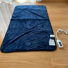 電気カーペット