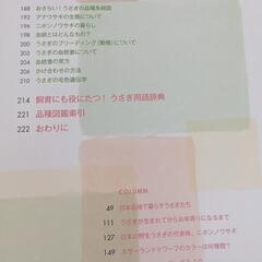 うさぎの品種大図鑑 2010年10月27日発行 中古 痛みありの画像