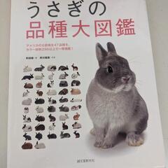 うさぎの品種大図鑑 2010年10月27日発行 中古 痛みあり
