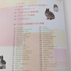 うさぎの品種大図鑑 2010年10月27日発行 中古 痛みありの画像
