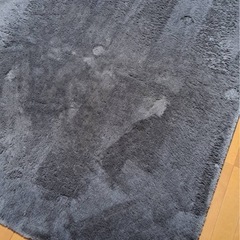 カーペット2枚の画像