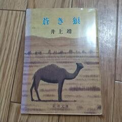 小説　蒼き狼　井上靖