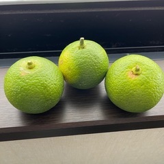 青カボス２０個