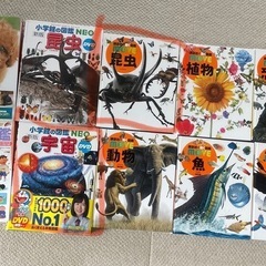 図鑑　まとめ売り　知育　絵本　の画像