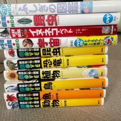 図鑑　まとめ売り　知育　絵本　の画像