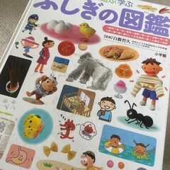 図鑑　まとめ売り　知育　絵本　の画像
