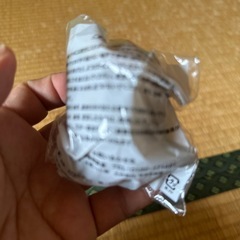 （SALE）キウイブラザーズのキャラクターフィギュアの画像