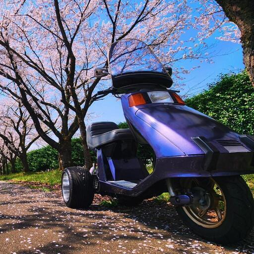 ホンダ　ストリーム　ミニカー登録