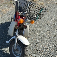 チャッピー50🌸絶好調🌈実働🏍の画像
