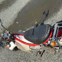 チャッピー50🌸絶好調🌈実働🏍の画像