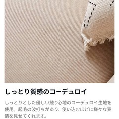 LOWYA 2人掛け ソファ　の画像