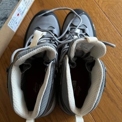 ?‼️ザノースフェイスシューズ