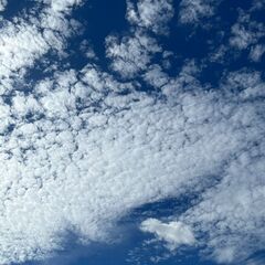 🌈シフトは週1～6日まで、あなたの自由です！🌈日勤・夜勤🌈超カン...