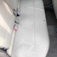再々投稿です。激安ステラ早い者勝ちになります。の画像