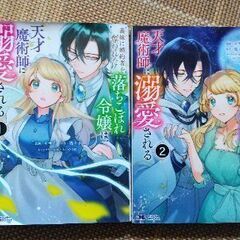 📖少女（女性）マンガ２巻セット