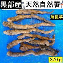 自然薯 その他の中古が安い！激安で譲ります・無料であげます