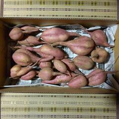 さつまいも(10/16)  無農薬栽培の 安納芋  ４kg