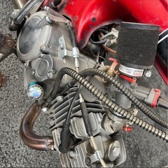 ホンダ　ST70　ダックス　カスタムの画像