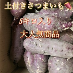 5キロ入り、サツマイモ大人気商品
