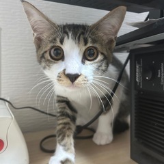 人懐っこい男の子(=^ェ^=)