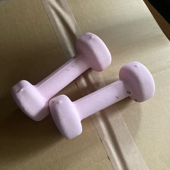 24日まで【無料】1キロダンベル　2つの画像