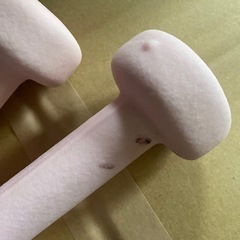 24日まで【無料】1キロダンベル　2つの画像