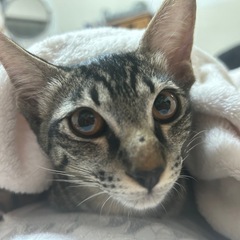 人懐っこい女の子(=^x^=)