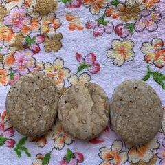 【薬石苑】姫川薬石 特上虎模様　ピクチャーストーン♪ 平石3個セットの画像