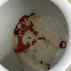 九谷焼　花瓶　置物　昇竜作　陶器　雀　木箱ありの画像