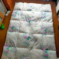 羽毛掛け布団  おそらく西川
