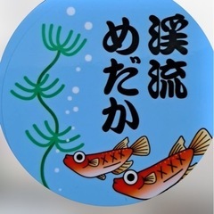 【10月27日(日曜日) 】渓流めだか様にてメダカ好き親睦会+販...