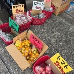 🎀10/24-10/26　夏物セール＆ 駐車場にて野菜販売🎀