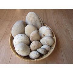 お試しください　お風呂にどうぞ♪【薬石苑】姫川薬石　超お買い得【5,000g】の画像