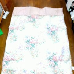 羽毛羽毛掛け布団  おそらく西川
