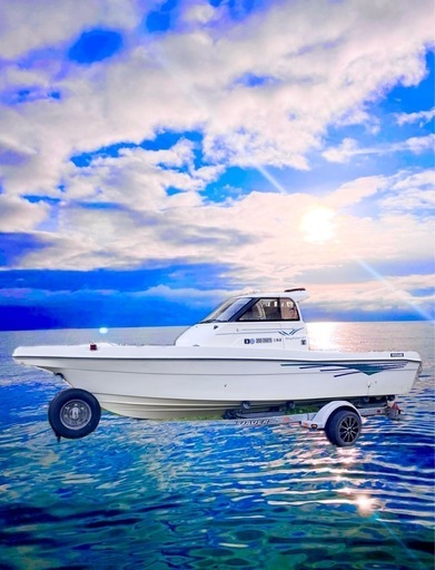 プレジャーボート、トレーラー