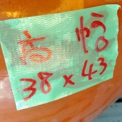 ☆レトロな大きいカメb　瓶　甕　壺　睡蓮鉢b☆の画像