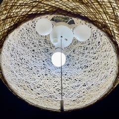 ペンダント照明　球形　差し上げます。の画像