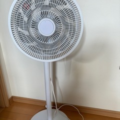 扇風機　今夏購入