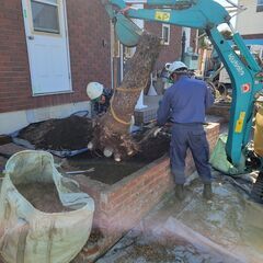 日払い相談可💰15時終了の日もあり🕐即日勤務OK👍カンタン応募📱林業👷の画像