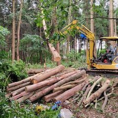 日払い相談可💰15時終了の日もあり🕐即日勤務OK👍カンタン応募📱林業👷の画像
