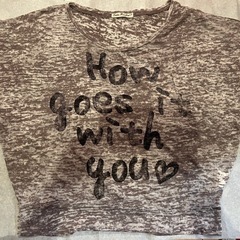 ドルマン Tシャツ グレー系 半袖の画像