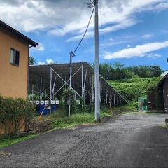 半日作業 除草、伐採、太陽光パワコン作業等