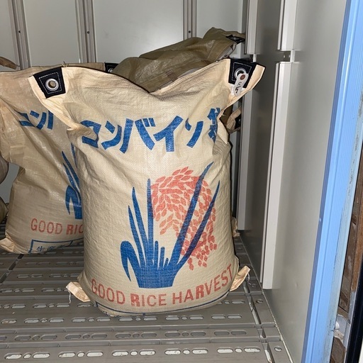 【決まりました】令和5年産　ヒノヒカリ　もみ約31kg