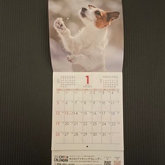 【交渉中】2025年カレンダー　犬　月めくり　の画像