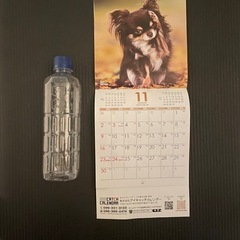 【交渉中】2025年カレンダー　犬　月めくり　の画像